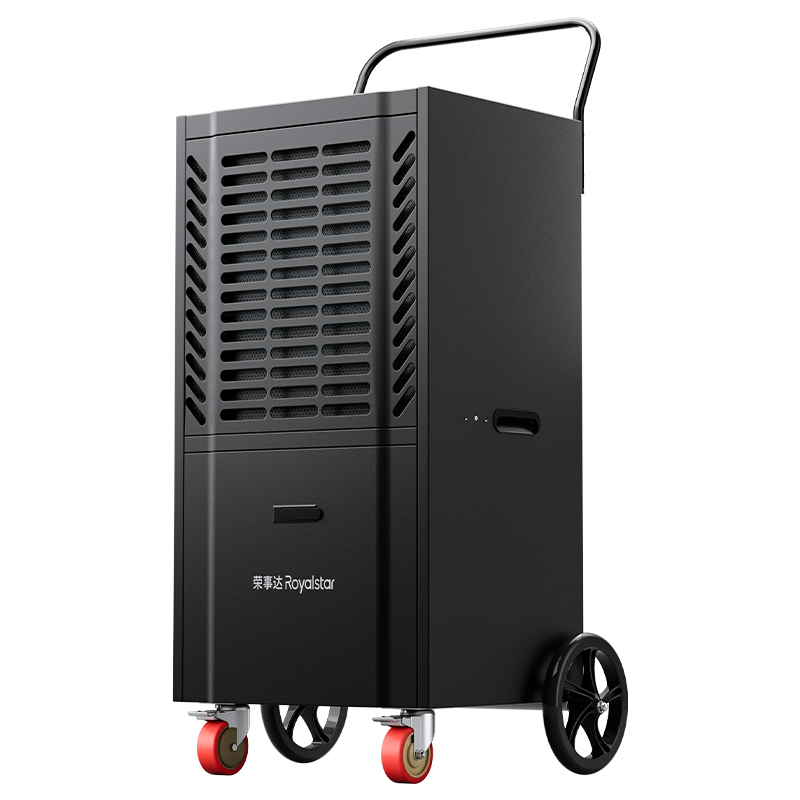 ���ݿ��ι������RSD-CS110L��ʪ��